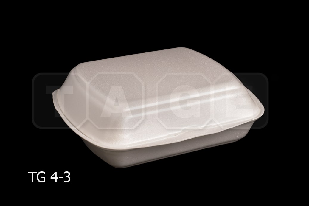 Disposable Container Malaysia | Plastic Food Container Malaysia | Food
